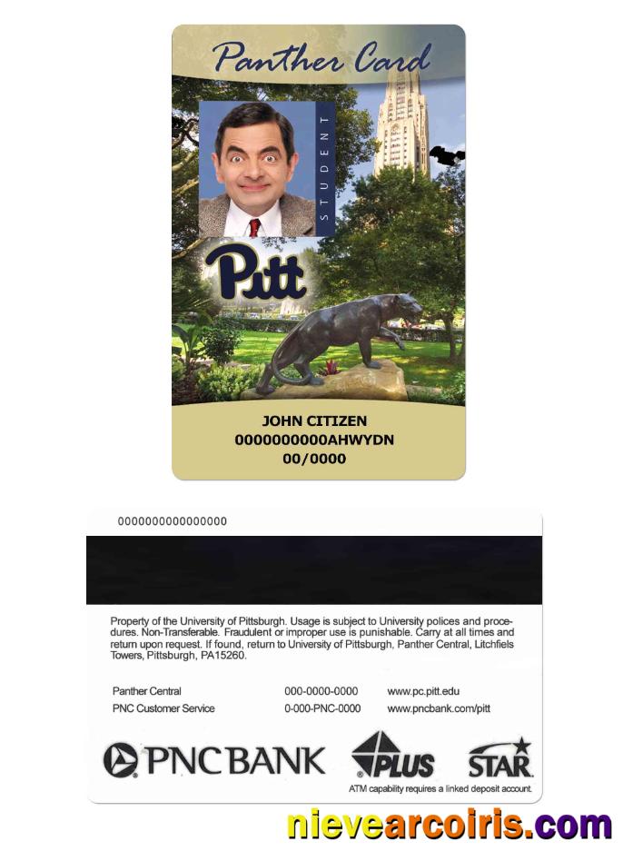 USA The University of Pittsburgh Student ID card, Panther card